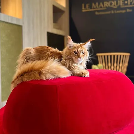 Mercure Lille En Baroeul Szálloda